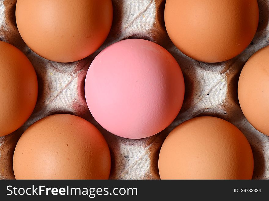Chicken Eggs And Colored Eggs.