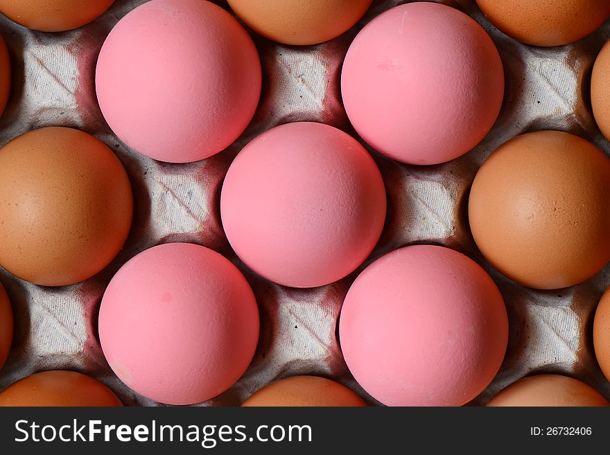 Chicken Eggs And Colored Eggs.