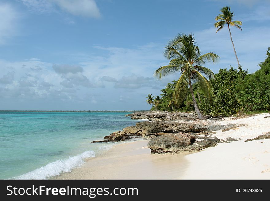 Beach with rocks and palm trees on the island of Saona Island National Park Este Punta Cana, Dominican Republic. Beach with rocks and palm trees on the island of Saona Island National Park Este Punta Cana, Dominican Republic