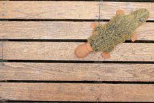Old Wooden Background With Doll Stock Photos