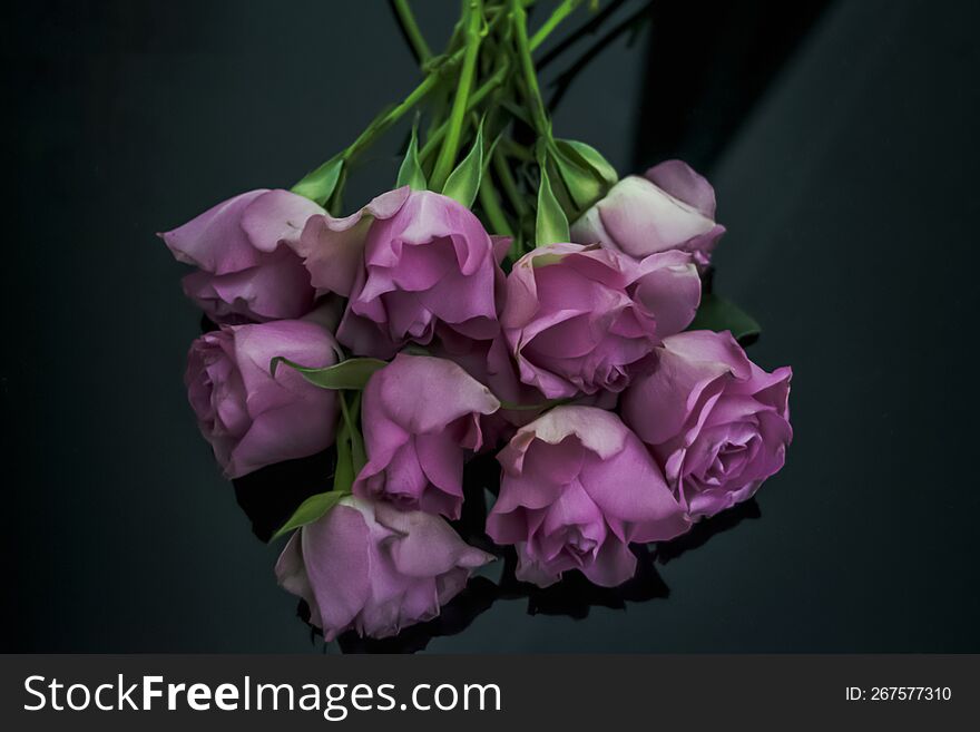 Bouquet of the purple roses at the black background .