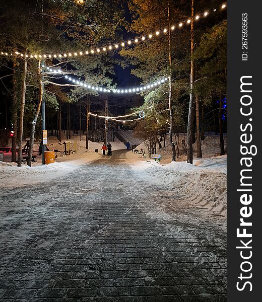 Illumination Over The Evening Alley In The Park