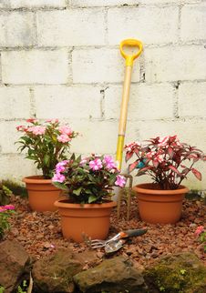 Colorful Garden Royalty Free Stock Photo Colorful Garden Royalty Free Stock Photo