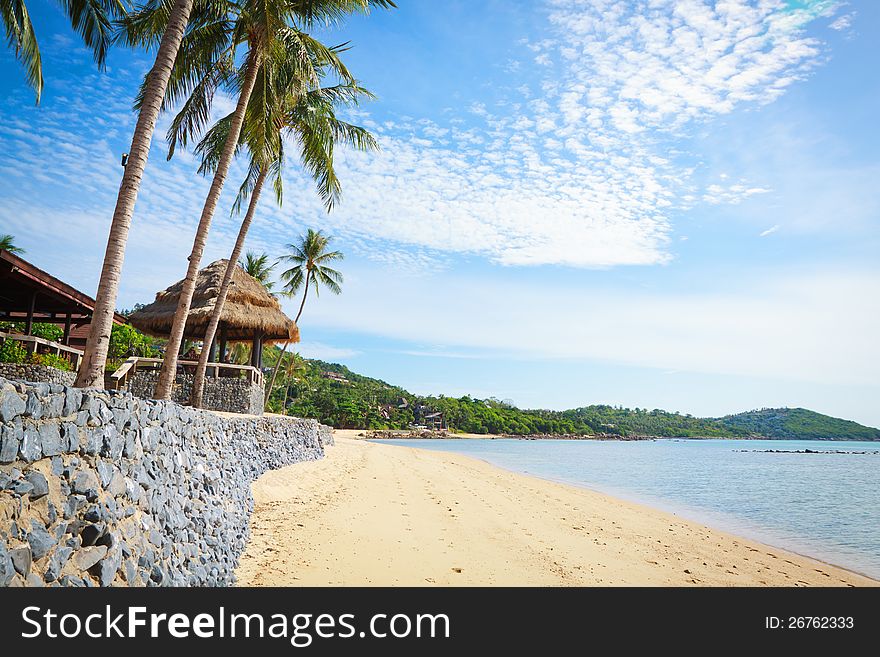 Tropical sandy beach, the sea, palm trees and sand. Tropical sandy beach, the sea, palm trees and sand.