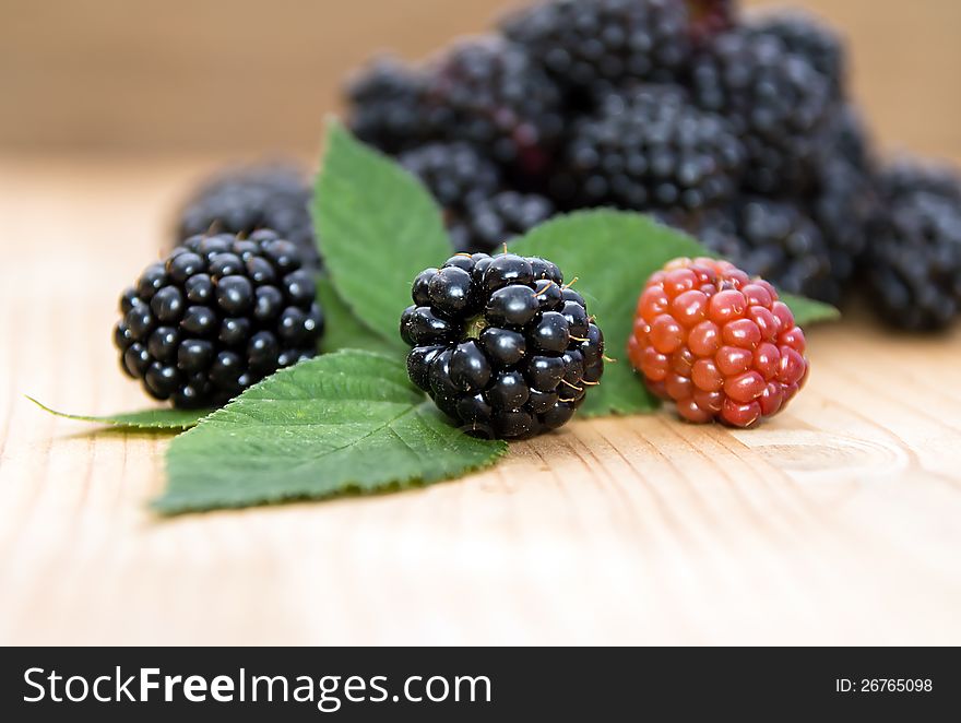 Group ripe blackberry, black and red, close-up