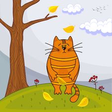 Beautiful Kitty Sitting On The Autumn Tree Royalty Free Stock Image Beautiful Kitty Sitting On The Autumn Tree Royalty Free Stock Image