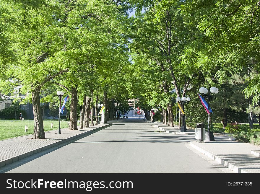 It's a walking street in my college, and it shows quite because it's the class period.