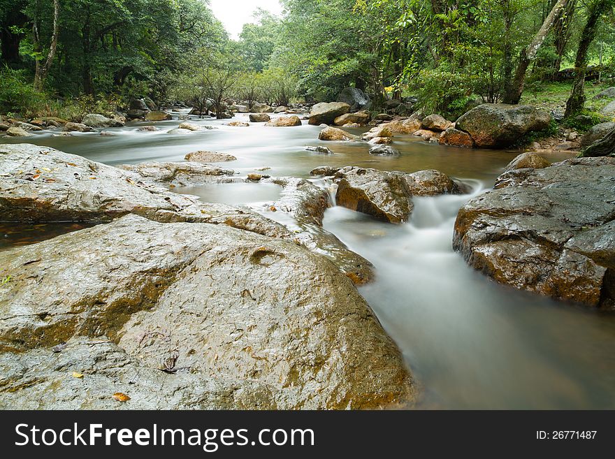 Water stream in rainforest after rain fall. Water stream in rainforest after rain fall.