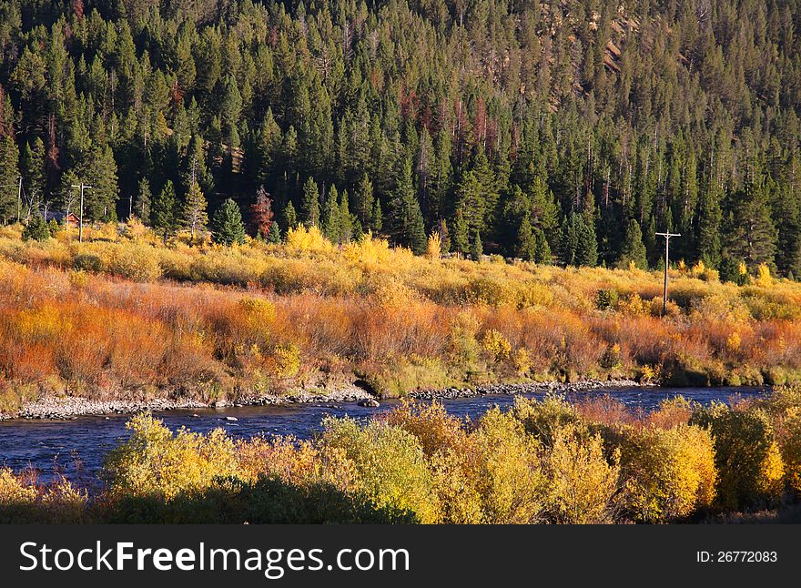 Beautiful autumn scene in Yellowstone. Beautiful autumn scene in Yellowstone