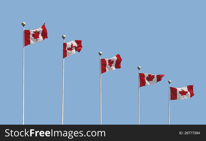 Five Canadian flags on flagpoles waving in the breeze, with room for copy and text. Isolated against a blue sky. Five Canadian flags on flagpoles waving in the breeze, with room for copy and text. Isolated against a blue sky.