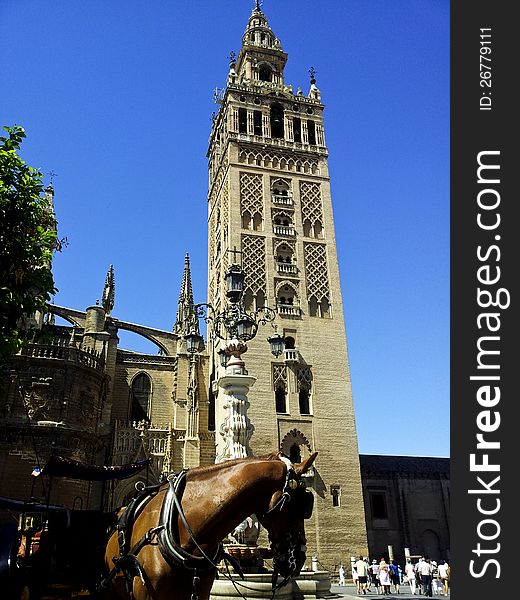 The bell tower of the Cathedral of Seville,Spain. The bell tower of the Cathedral of Seville,Spain