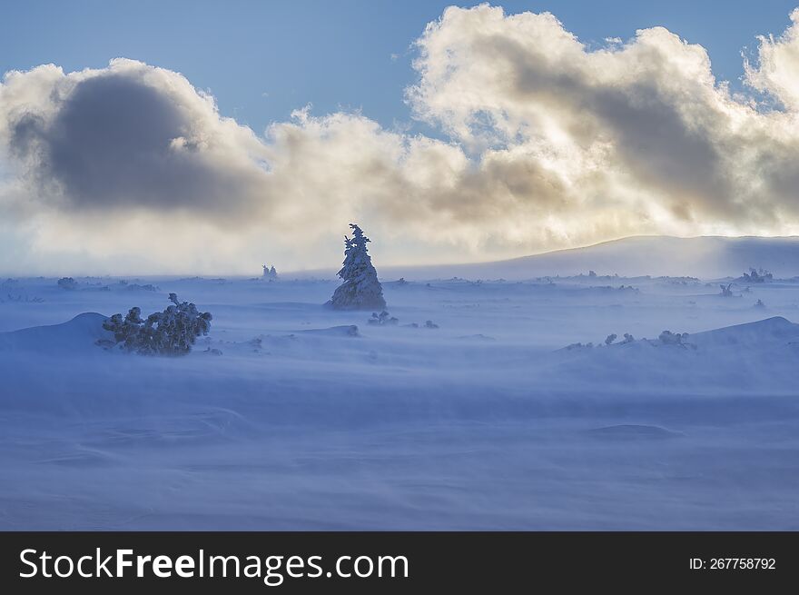 Snowstorm In The Polish Sudetes