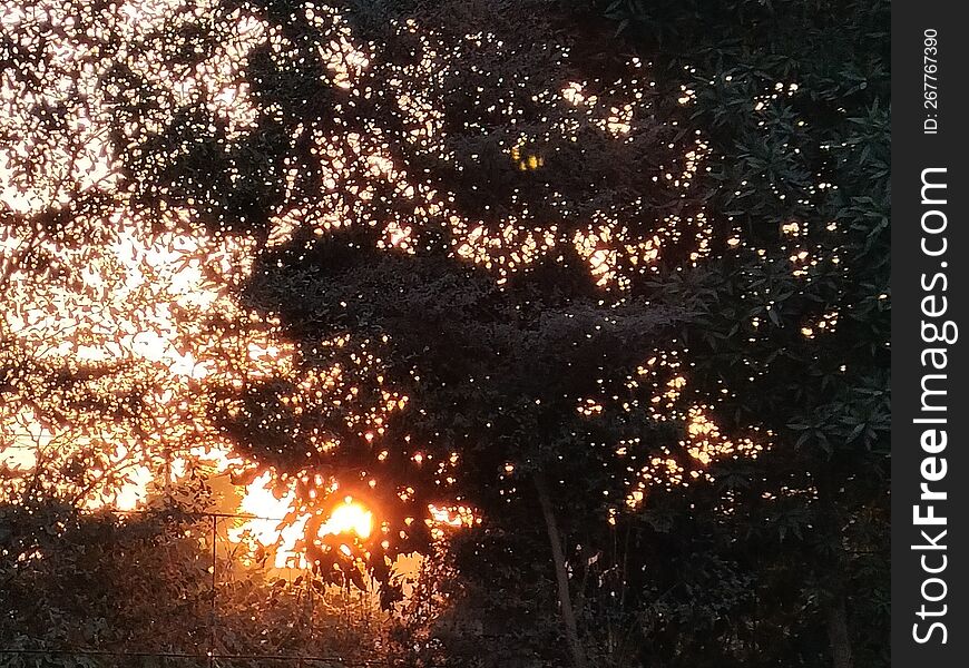 Sun set view in evening time from garden