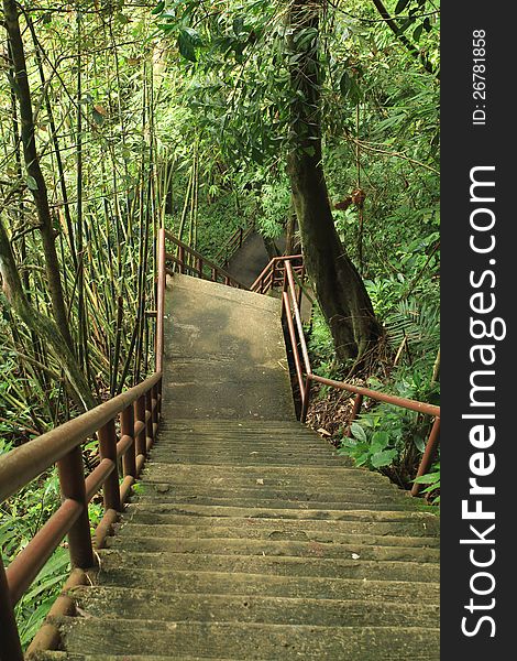 Stone ladder in national park, Khao Yai,Thailand