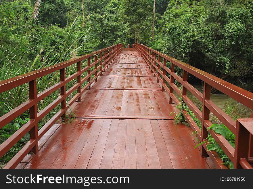 Footbridge in national park, Khao Yai,Thailand