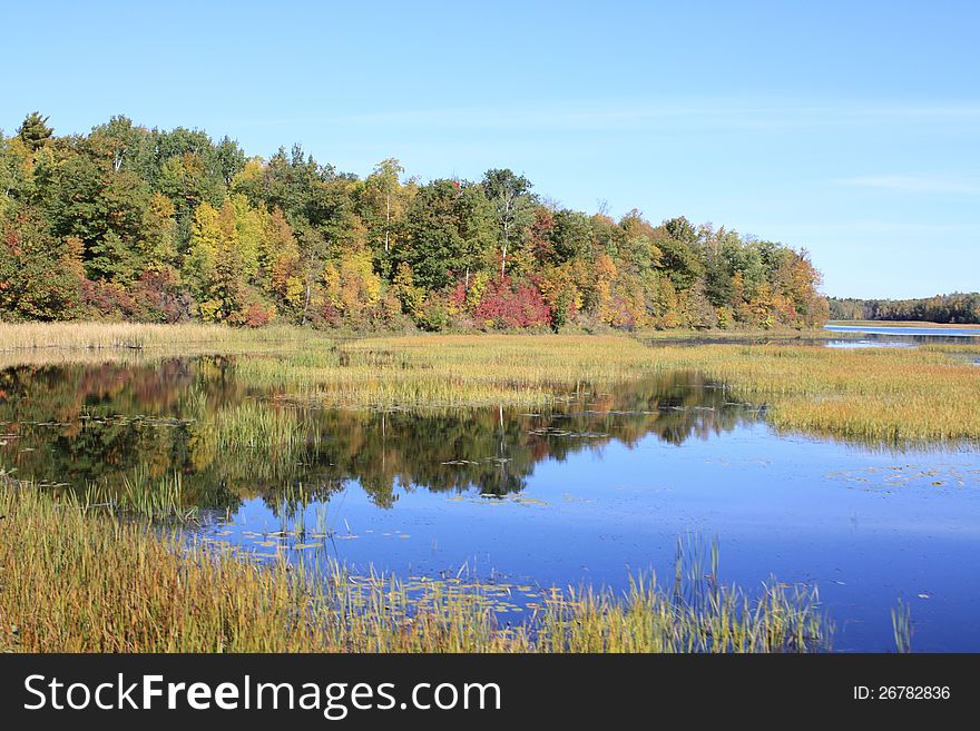 Fall colors appearing along the waters edge of a swampy areas. Fall colors appearing along the waters edge of a swampy areas.