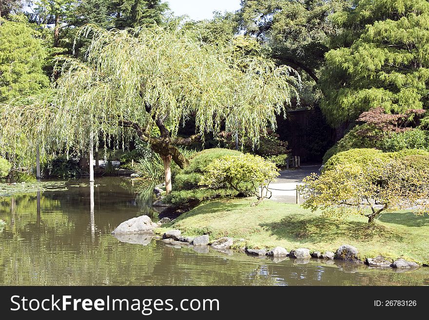 Beautiful Japanese garden with willow tree, maple, and pond. Beautiful Japanese garden with willow tree, maple, and pond.