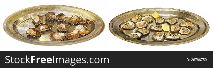 Closed and openly fresh oysters on a silver trays