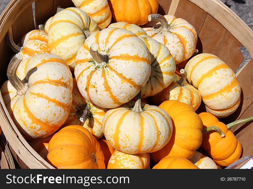 Wooden Basket Of Colorful Fall Gourds