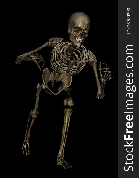 A skeleton in a pose for halloween. A skeleton in a pose for halloween
