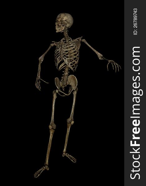 Idle skeleton