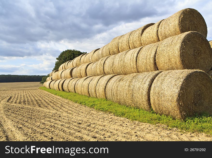 Golden Hay Bales in the countryside