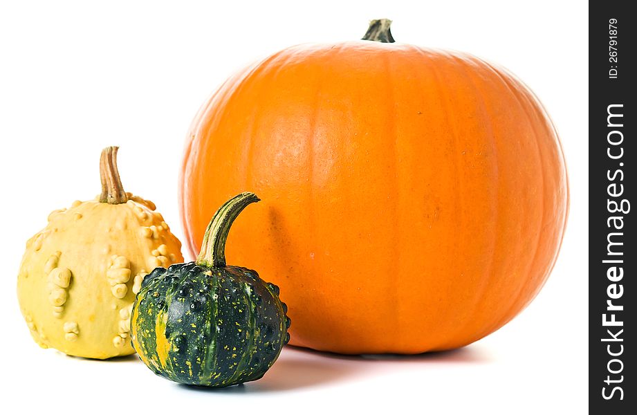 Pumpkins  on a white background