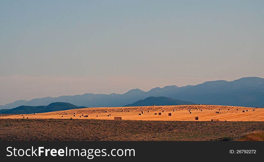 This image of the harvested hay field glistening in the evening sunlight with the mountains in the background was taken in NW Montana. This image of the harvested hay field glistening in the evening sunlight with the mountains in the background was taken in NW Montana.