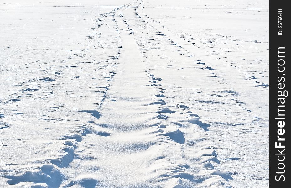 Snow-covered Field