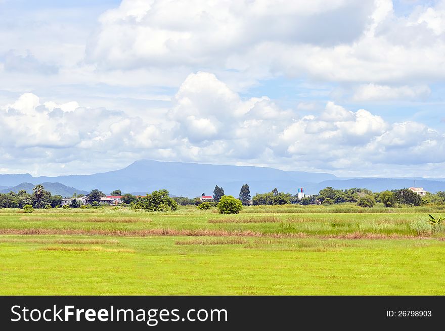 Scene of countryside with mountain background.,Nakornnayok,thailand.