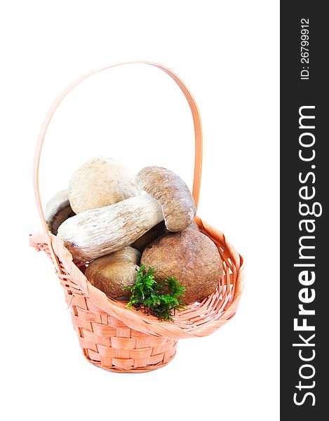 Basket with forest mushrooms  on a white background