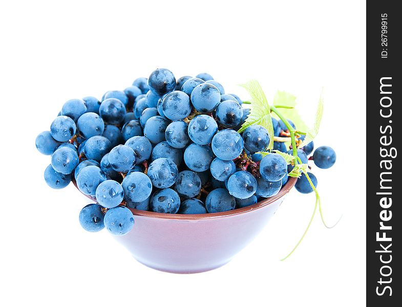 Fresh blue grape cluster with leaves on a white background. Fresh blue grape cluster with leaves on a white background