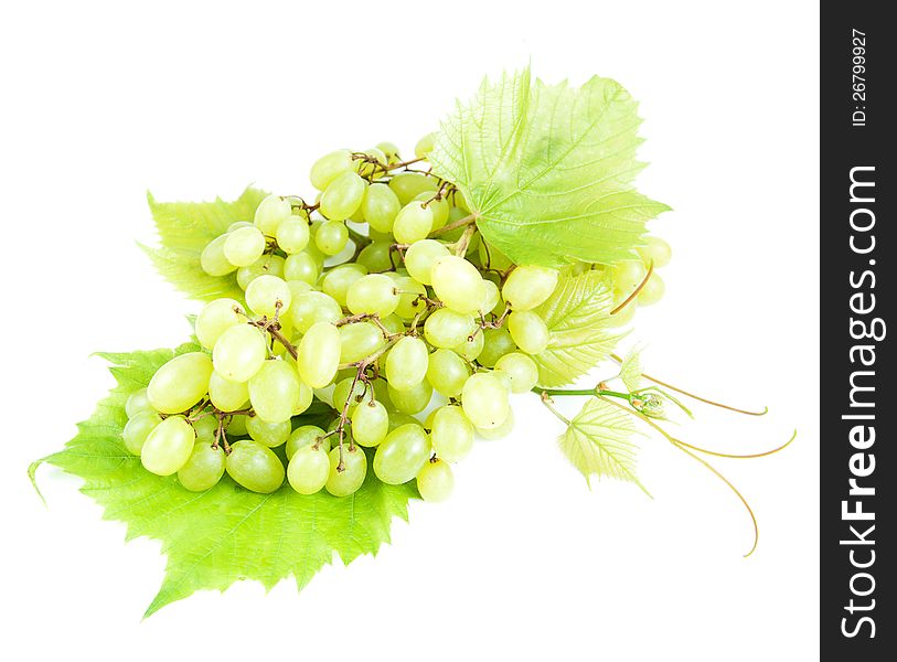 Grape cluster with leaves on a white background