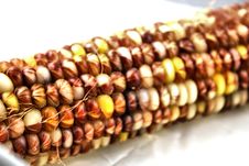 Indian Corn Royalty Free Stock Photography