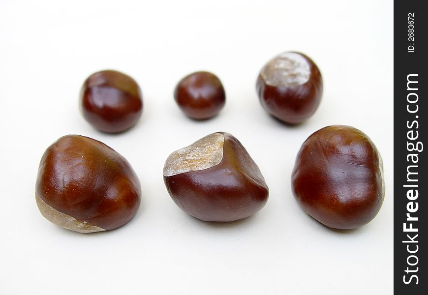 Brown chestnuts