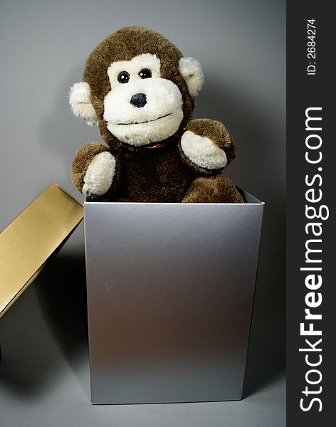 Monkey Inside A Box