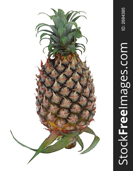 Isolated green pineapple on a white background