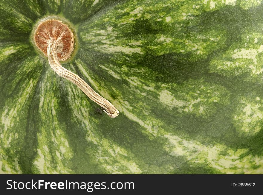 Watermelon close-up