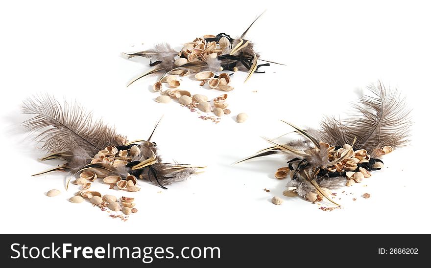 Composition of feather and nuts isolated on white