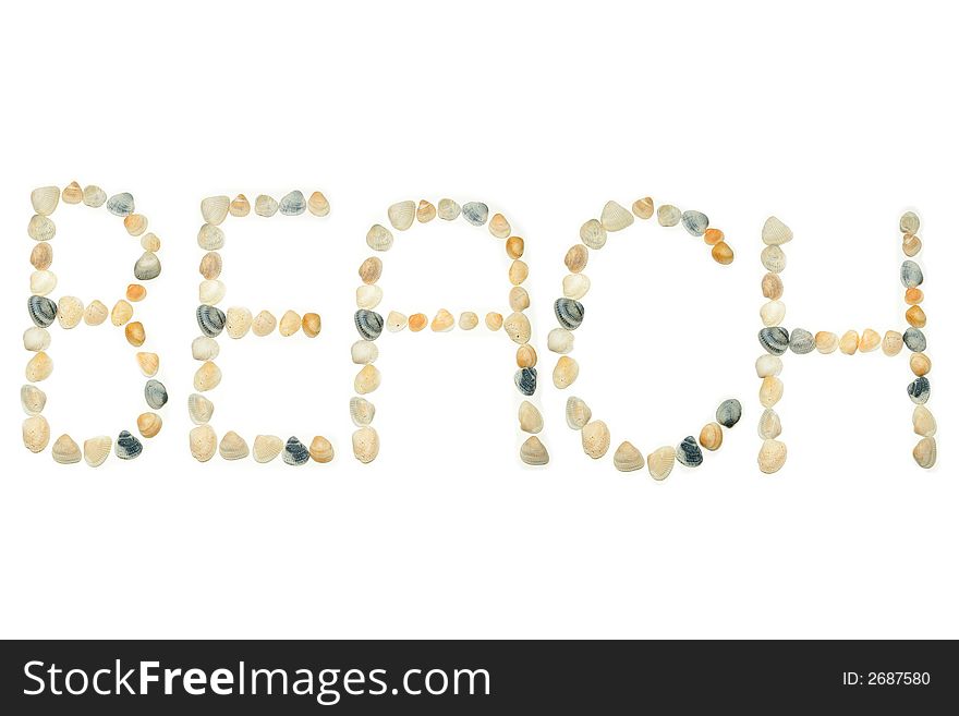 Seashells arranged on a white background to spell out the word BEACH