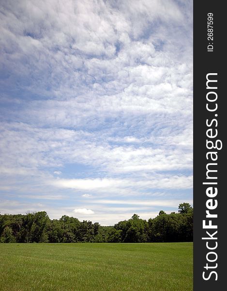 A green meadow and clouds on a sunny morning. A green meadow and clouds on a sunny morning