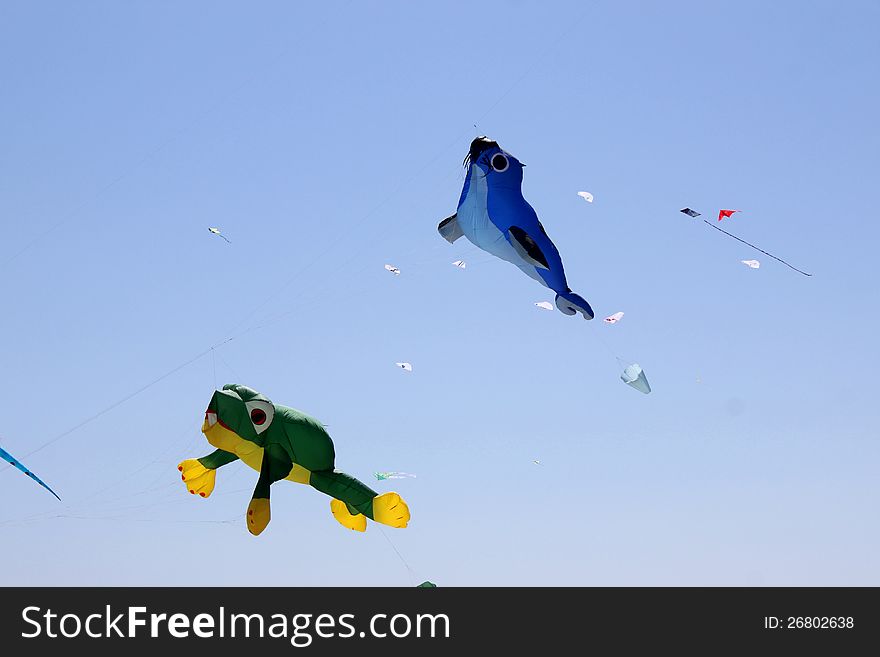 Fly kites colored representing a walrus and a frog