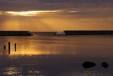 Sunrise With Bird Royalty Free Stock Image Sunrise With Bird Royalty Free Stock Image
