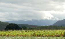 Farming Land Covered Thundercloud. Stock Photos Farming Land Covered Thundercloud. Stock Photos