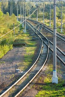 Railroad Tracks In Forest Vertical View Royalty Free Stock Photo Railroad Tracks In Forest Vertical View Royalty Free Stock Photo