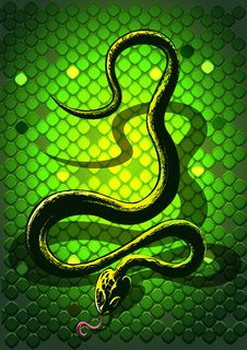 Snake Green Royalty Free Stock Photography