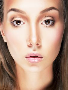Stylized Portrait Beauty Young Classic Woman Royalty Free Stock Photos Stylized Portrait Beauty Young Classic Woman Royalty Free Stock Photos