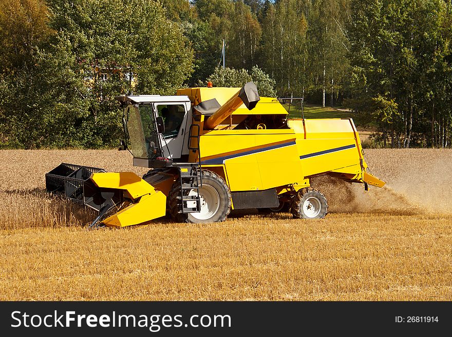 Combine harvester in wheat field