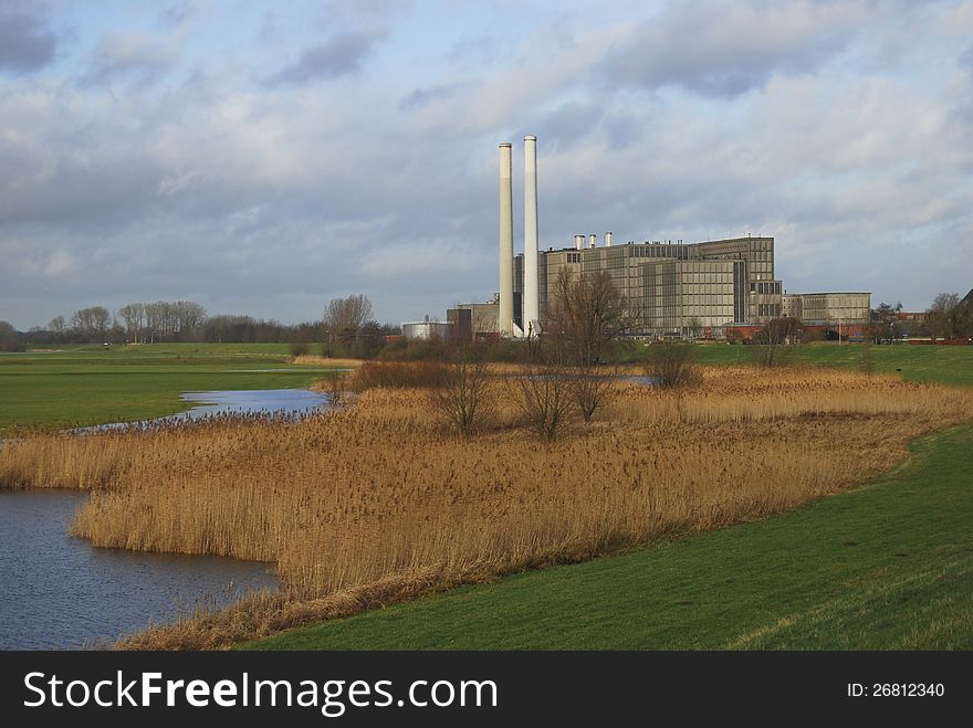 Behind a field of reed there is a power station. Behind a field of reed there is a power station