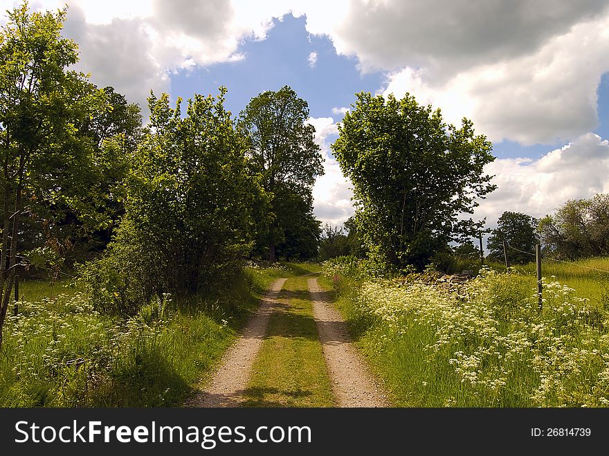 Summer trail with meadow beside and striking sky. Summer trail with meadow beside and striking sky
